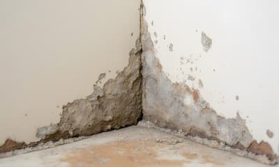 Damp Proofing & Plastering