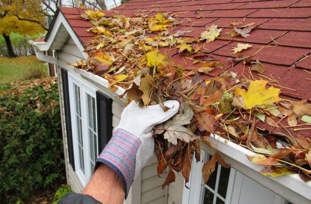 Gutter Cleaning project 1