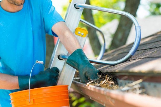 Gutter Cleaning project 2