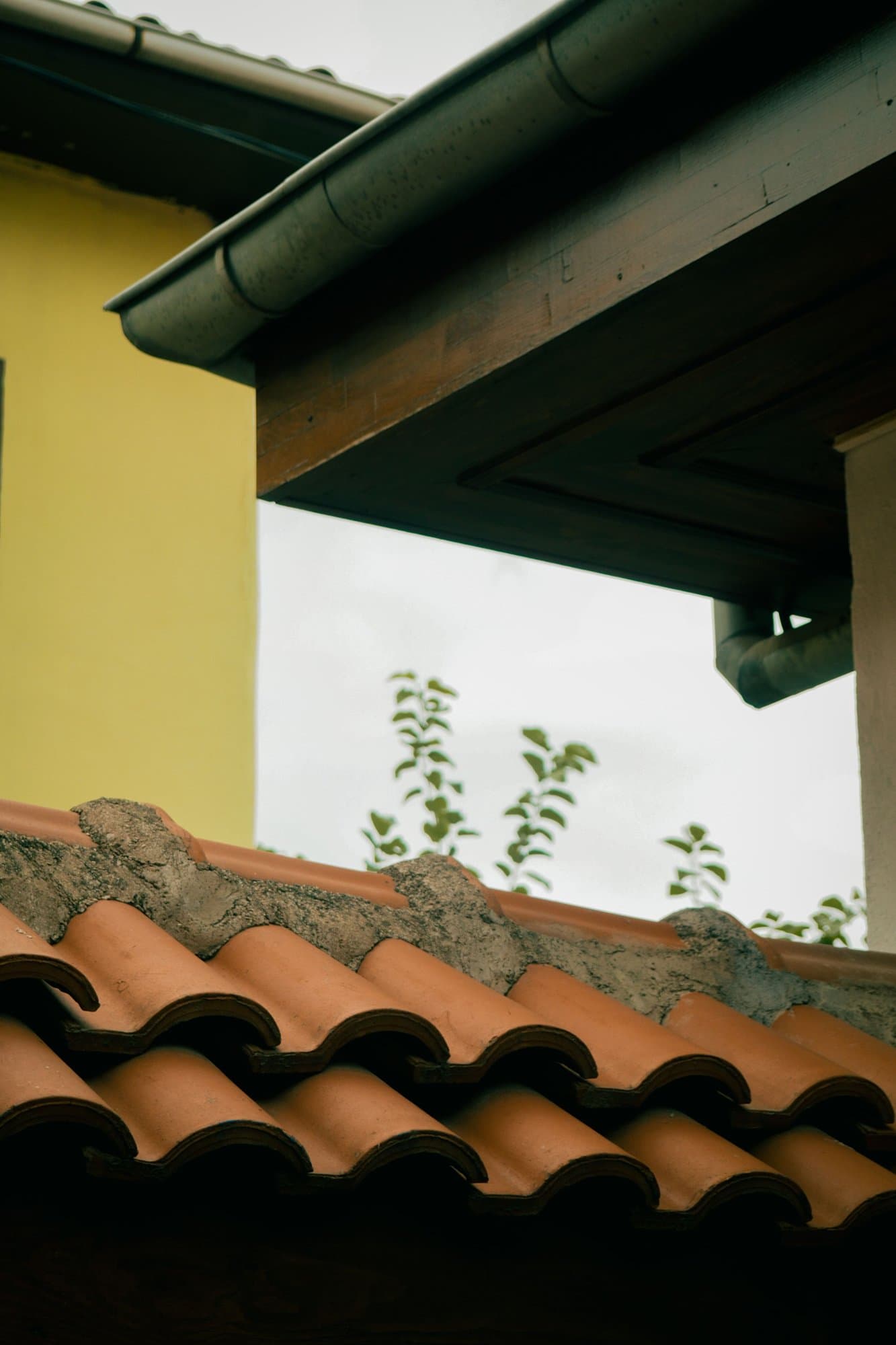 Gutter Cleaning project 3