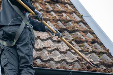 Roof Cleaning project 2